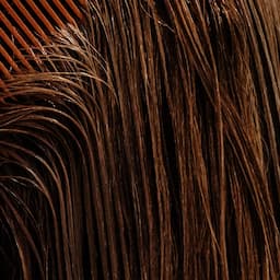 Elev8ed Luxe Blowout Club